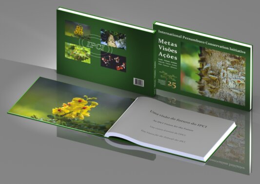 Metas · Visões · Ações